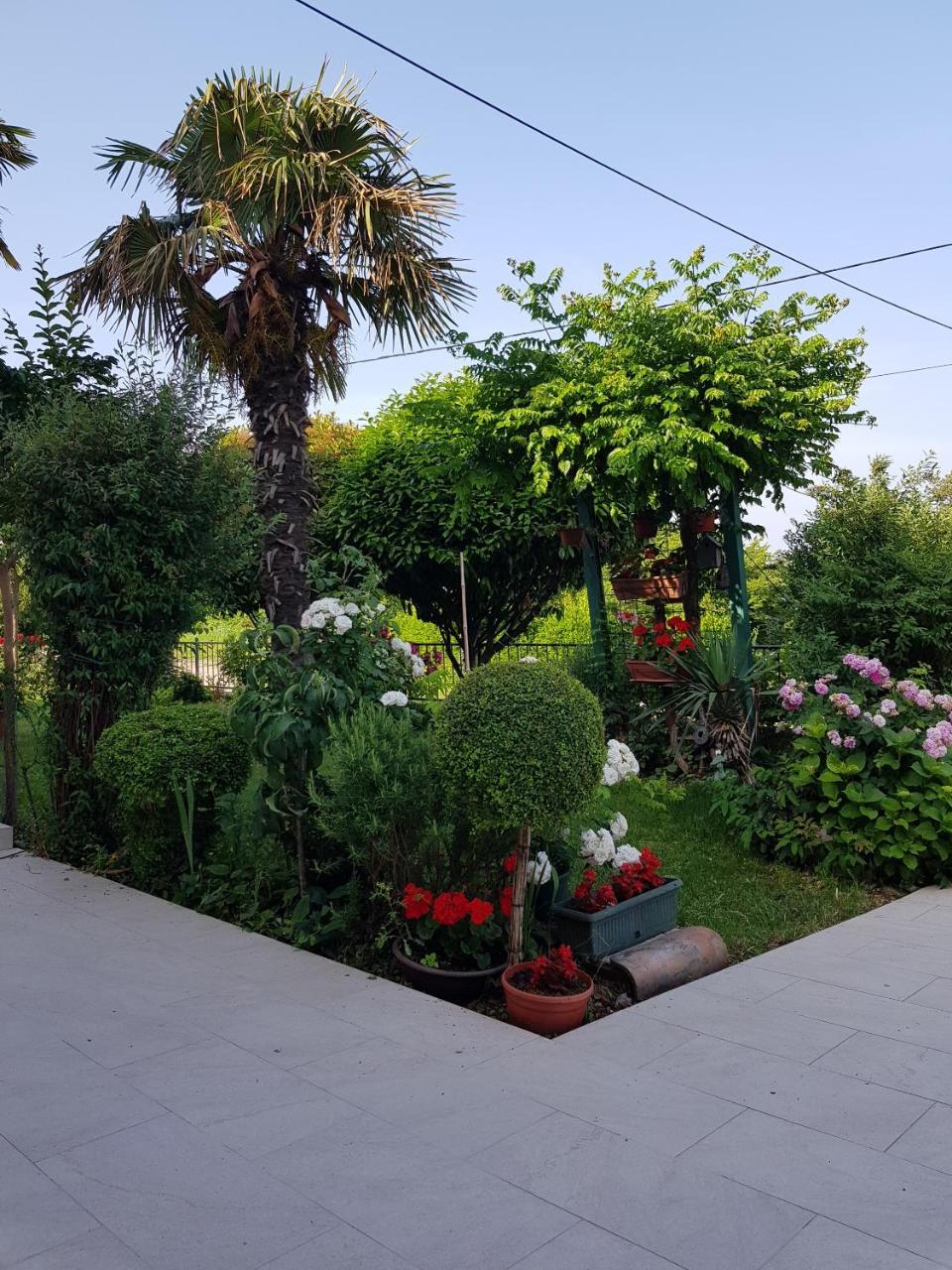 Villa Ivana Labin (Istria) Exterior foto